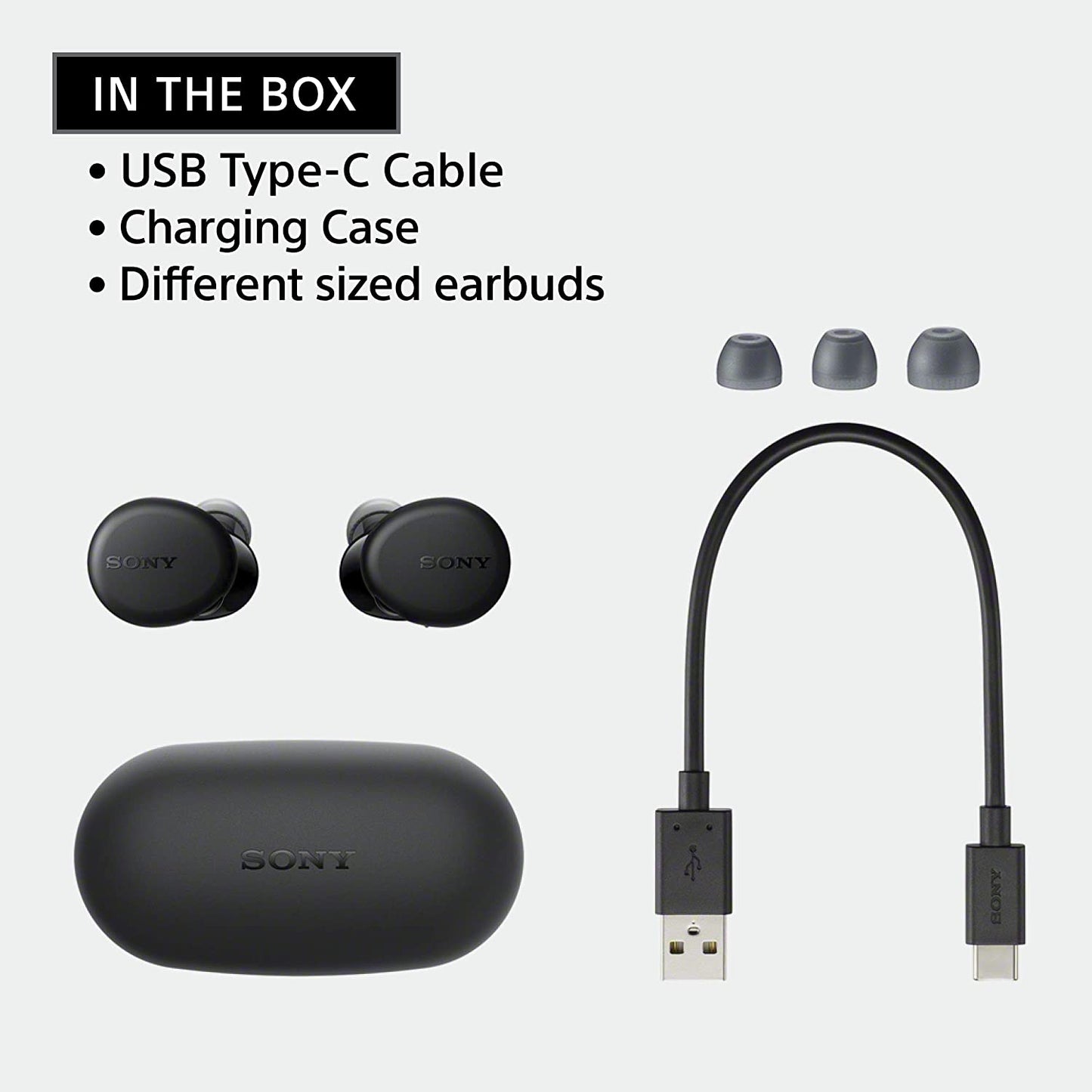 (Open Box) Sony WF-XB700 Bluetooth Truly Wireless in Ear Earbuds with 18 Hours Battery Life, Extra Bass with Mic for Phone Calls, Quick Charge, BT Ver 5.0