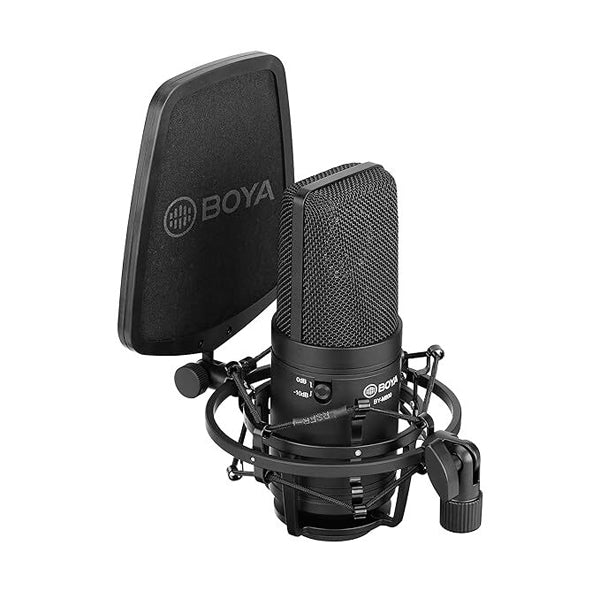 Boya BY-M800 Large Cardioid Diaphragm Condenser Microphone