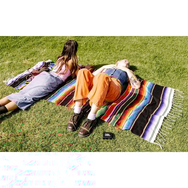 JBL GO2 Portable Bluetooth Speaker with Mic