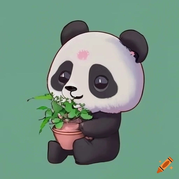Cute Panda Tshirt | Premium Cotton Tshirts | Unisex