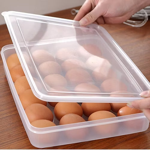 24 Grid Clear Egg Box
