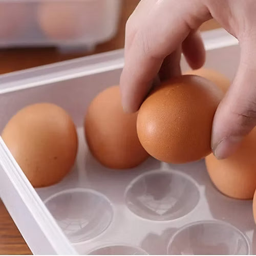 24 Grid Clear Egg Box