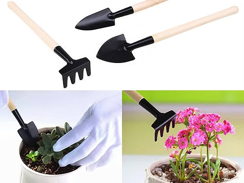 3 Pcs Garden Tools