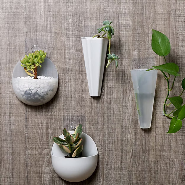 Round Wall Hanging Vase