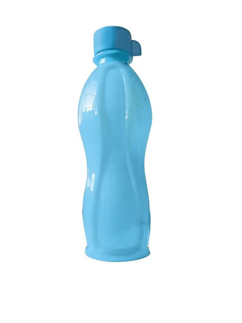 Evergreen Plastic Bottle (Random Colour)