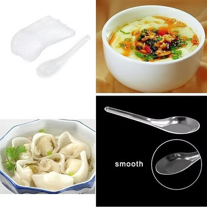 Transparent Plastic Spoon (Pack Of 12)