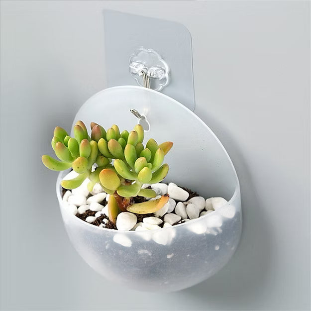 Round Wall Hanging Vase