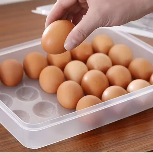 24 Grid Clear Egg Box
