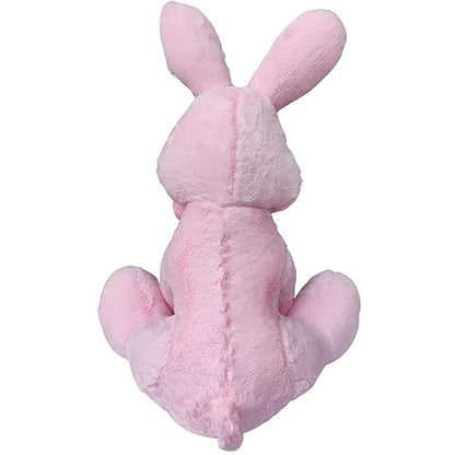 Toy Castle Huggable Rabbit Plush Soft Toy Cartoon Animal Big Ears Bunny Stuffed Doll for Kids, Boys and Girls | Made in India (Pink, Medium)