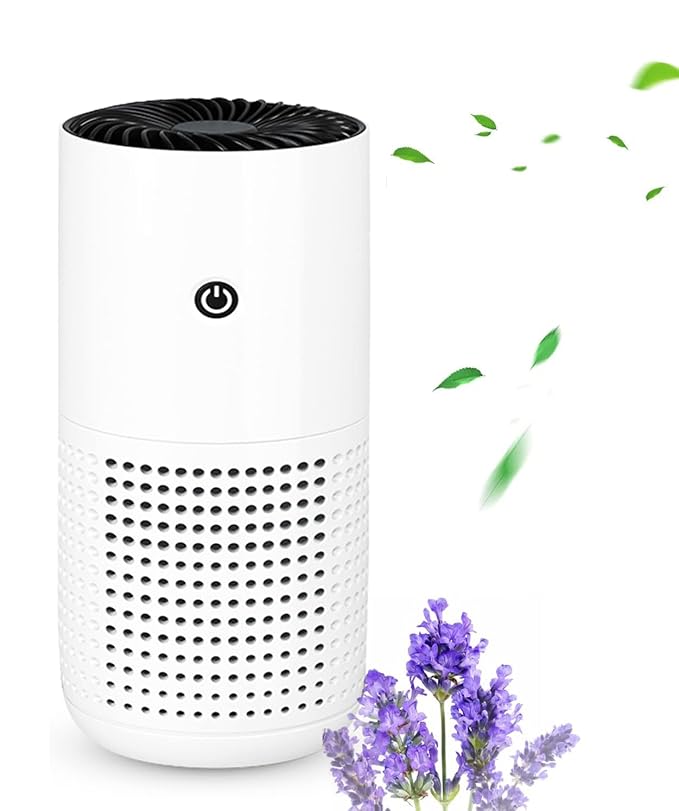 Air Purifiers for Home, H13 HEPA Air Purifiers Air Cleaner For Smoke Pollen Dander Hair Smell Portable Air Purifier with Sleep Mode Speed