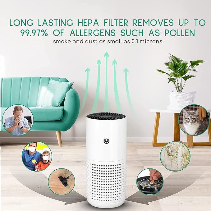 Air Purifiers for Home, H13 HEPA Air Purifiers Air Cleaner For Smoke Pollen Dander Hair Smell Portable Air Purifier with Sleep Mode Speed
