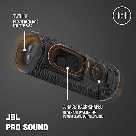 JBL Flip 6 Wireless Portable Bluetooth Speaker Pro Sound, Upto 12 Hours Playtime (Without Mic, Black)