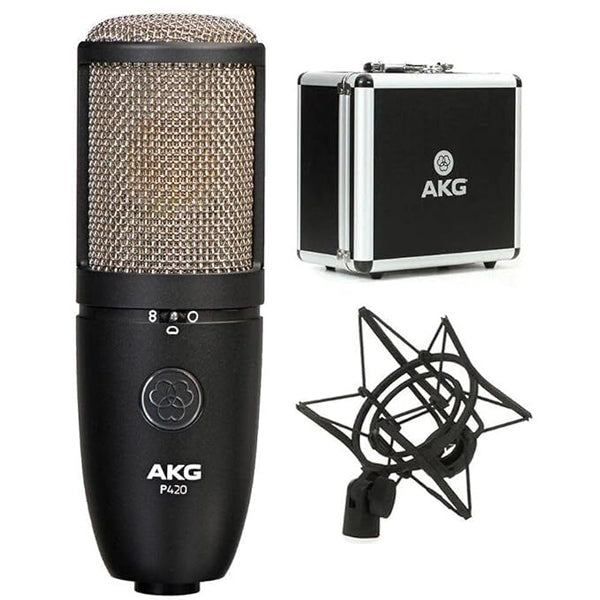 AKG P420 High-Performance Dual Capsule True Condenser Microphone