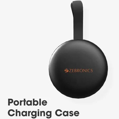 ZEBRONICS Zeb-SOUND BOMB